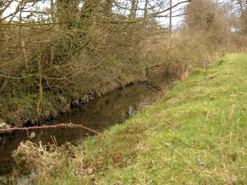 Depth of river